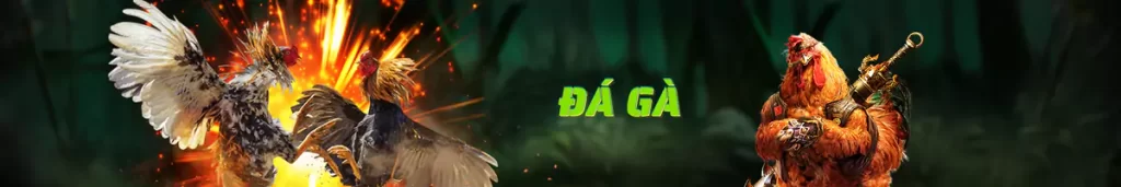 Đá Gà 69VN 1 Đá gà 69VN